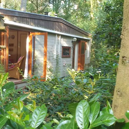 Bos-chalet Diessen