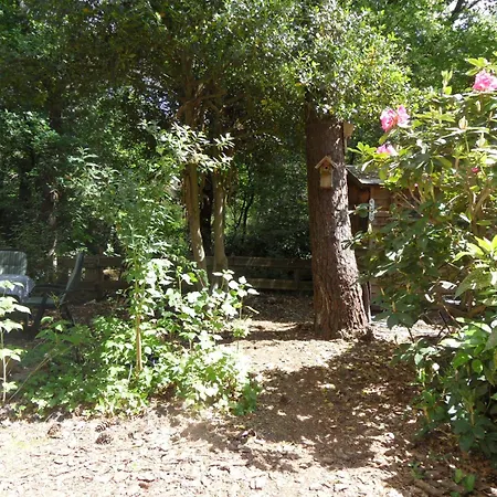 Bos-chalet * Diessen