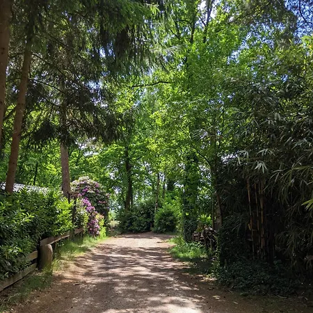 Bos-chalet 木屋 迪森