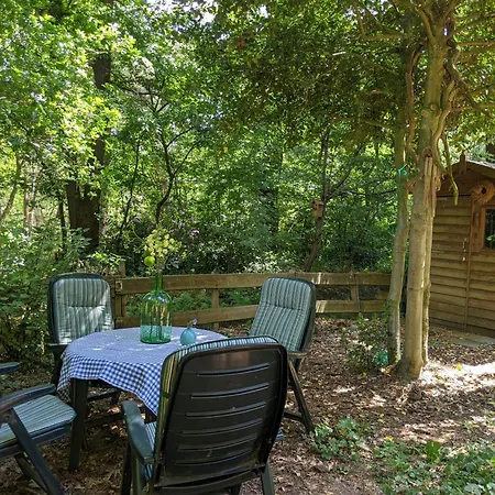 Chalet Bos-chalet Diessen