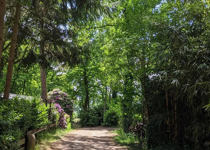 Bos-chalet Σαλέ Diessen