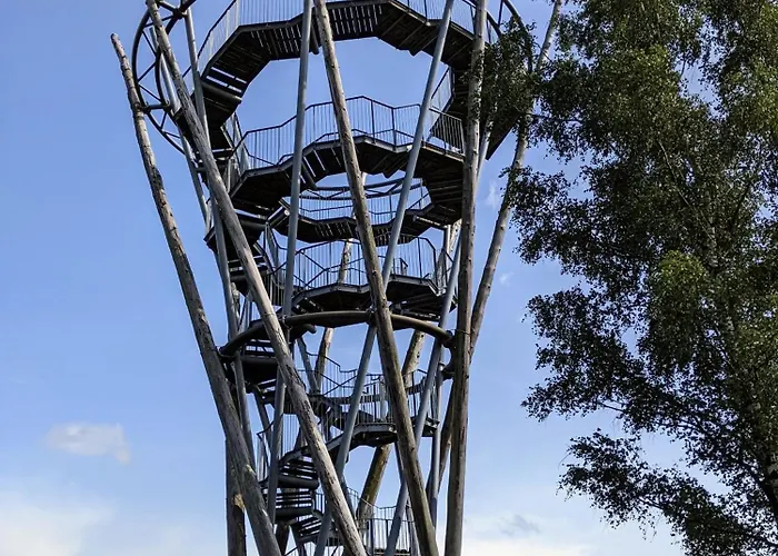 Bos-chalet Chalet Diessen