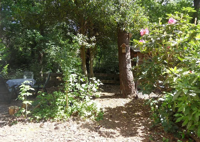 Bos-chalet * Diessen