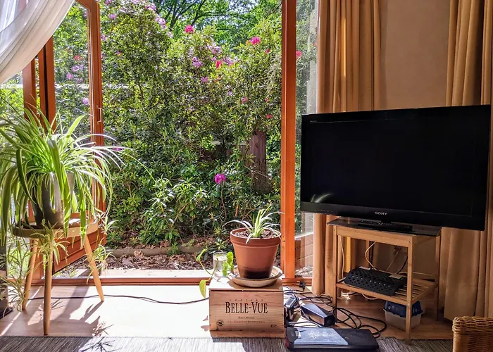 Chalet Bos-chalet Diessen